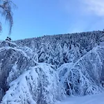 Skianta شقة *